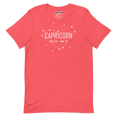 Capricorn Zodiac Adult Unisex T-shirt